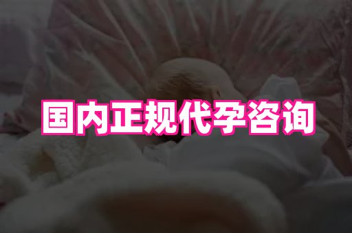 点点助孕网 1