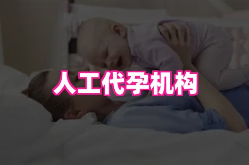 点点助孕网 2