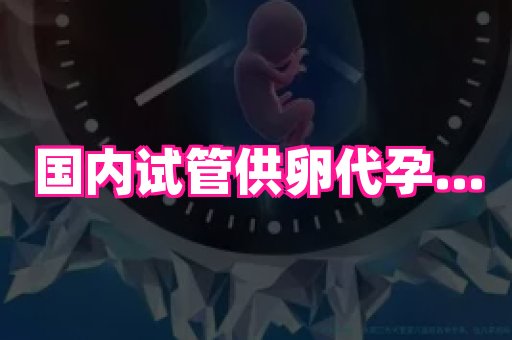 点点助孕网 3
