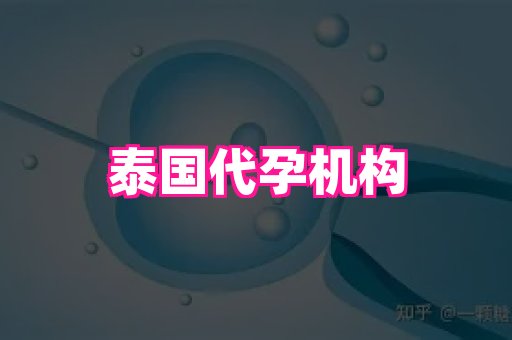 点点助孕网 4